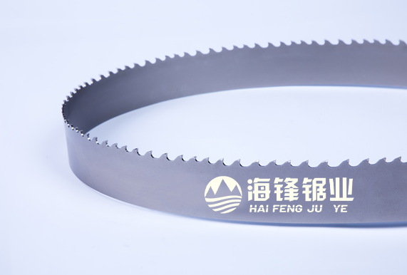 厦门TCB-Cast 发动机缸盖及浇冒口专用型